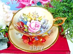 RARE Aynsley teacup BAILEY signed CABBAGE ROSE & POPPY cup and saucer