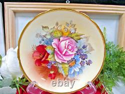 RARE Aynsley teacup BAILEY signed CABBAGE ROSE & POPPY cup and saucer