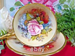 RARE Aynsley teacup BAILEY signed CABBAGE ROSE & POPPY cup and saucer