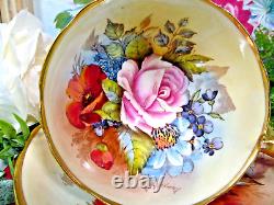 RARE Aynsley teacup BAILEY signed CABBAGE ROSE & POPPY cup and saucer
