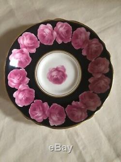 RARE Paragon Double Warrant Black Tea Cup Saucer Cabbage Rose