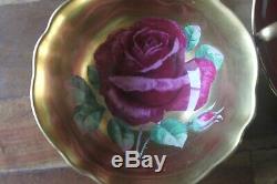 RARE Paragon Gold large Cabbage Rose Teacup Tea Cup Saucer Burgundy