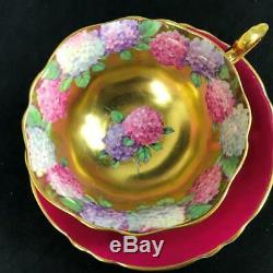 RARE Paragon Heavy Gold Centers Floating HYDRANGEA Garland Cup Saucer A1570/5