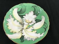 RARE Paragon Orchid Tea Cup And Saucer Green & White