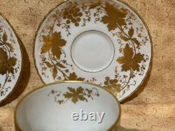 RL Dresden Hand Painted Leaves Fruit Gold Embossed Teacup Saucer Sets Of 2