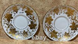 RL Dresden Hand Painted Leaves Fruit Gold Embossed Teacup Saucer Sets Of 2