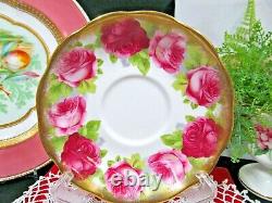 ROYAL ALBERT tea cup and saucer AVON shape treasure chest series teacup rose