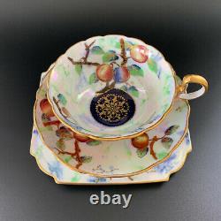 Rare Antique 1900s Aynsley luster ware teacup trio Swallowtail butterfly apple