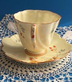 Rare Antique ORIGINAL Royal Paragon Cup & Saucer By Appointment YELLOW England