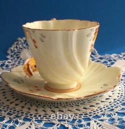 Rare Antique ORIGINAL Royal Paragon Cup & Saucer By Appointment YELLOW England