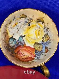Rare Aynsley Burgandy Teacup & Saucer Triple Cabbage Roses Signed J A Bailey