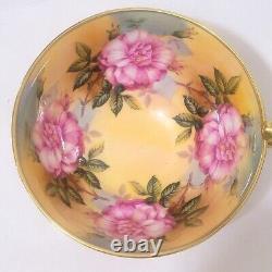 Rare Aynsley England 13 Pink Cabbage Roses Tea Cup and Saucer 1026