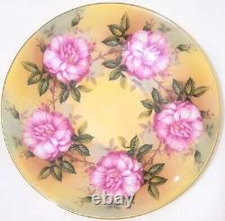 Rare Aynsley England 13 Pink Cabbage Roses Tea Cup and Saucer 1026