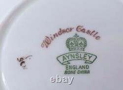 Rare Aynsley Windsor Castle Pedestal Tea Cup & Decorated Saucer Set England