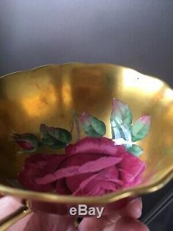 Rare Beautiful Paragon A1572/1 Red Cabbage Rose Gilded Cabinet Tea Cup & Saucer