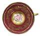 Rare Paragon Cup And Saucer Huge Cabbage Rose Floating In Gold A1793 Warrant