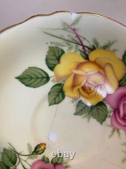 Rare Paragon Fine Bone China Floral Design Tea cup and Saucer Set Refurbished