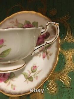 Rare Paragon Rosebud Pink Cabbage Rose Tea Cup And Saucer