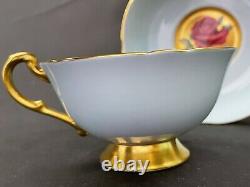 Rare Paragon Teacup And Saucer Floating Cabbage Rose, Blue With Heavy Gold Gilt