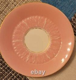 Rare antique ejd bodley pink bamboo handle teacup&saucer, aesthetic movement