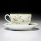 Raynaud Limoges Histoire Naturelle Wing Song Butterly Floral Teacup And Saucer