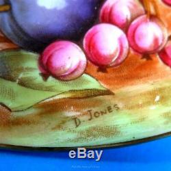 Rich Gold Signed D. Jones Fruit Painted Aynsley Aynsley Tea Cup and Saucer Set