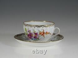 Richard Klemm Dresden Tea Cup and Saucer, Germany c. 1891-1914