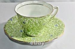 Rosina Tea Cup Saucer Fine Bone China England Chintz Flowers Rare Collectible