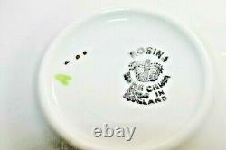 Rosina Tea Cup Saucer Fine Bone China England Chintz Flowers Rare Collectible