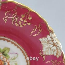 Royal Crown Derby VINE Hand Painted Tea Cup Saucer Artist Signed Flowers England