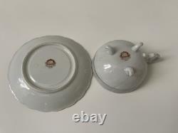 Royal Sealy Vintage China Tea Cup and Saucer Set Japan Hand painted Fruit Flower