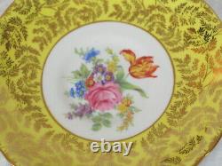 Royal Stafford 6 Teacups & Saucers Pattern 1842 Chintz Gold Leaves & Roses