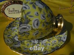 SHELLEY YELLOW TAPESTRY ROSE CHINTZ RIPON FOOTED CUP and SAUCER