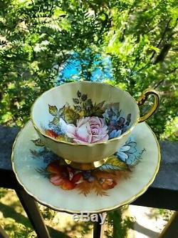 SPECTACULAR and RARE Aynsley Cabbage Rose Teacup and Saucer Signed J A Bailey