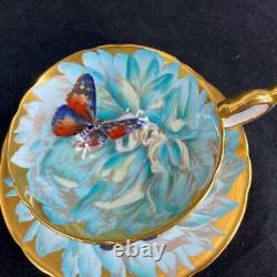 STUNNING Aynsley CHRYSANTHEMUM BUTTERFLY Heavy Gold Cup Saucer C974/1