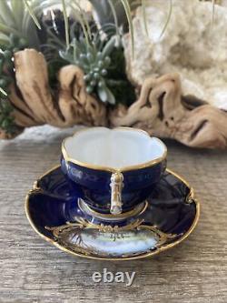 Sèvres French Porcelain Hand Painted Teacup and Saucer