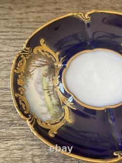 Sèvres French Porcelain Hand Painted Teacup and Saucer