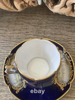 Sèvres French Porcelain Hand Painted Teacup and Saucer