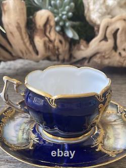 Sèvres French Porcelain Hand Painted Teacup and Saucer