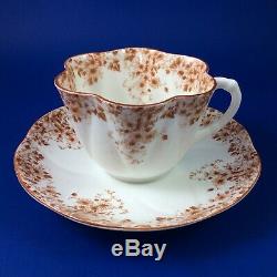 Shelley Dainty Brown Fine Bone China Tea Cup And Saucer