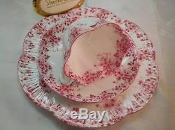 Shelley Dainty Pink Daisy 051/p Trio Cup, Saucer And 8 Plate