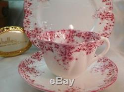 Shelley Dainty Pink Daisy 051/p Trio Cup, Saucer And 8 Plate