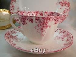 Shelley Dainty Pink Daisy 051/p Trio Cup, Saucer And 8 Plate