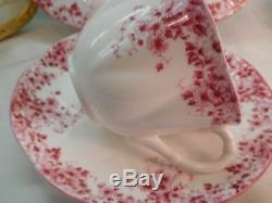 Shelley Dainty Pink Daisy 051/p Trio Cup, Saucer And 8 Plate