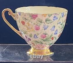 Shelley England Fine Bone China Countryside Floral Chintz Gold Footed Teacup