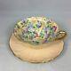 Shelley Footed Oleander Peach Ivory Summer Glory Chintz Cup & Saucer 13417/s15