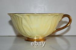 Shelley Light Yellow Daisy Chintz-Oleander Bone China Footed Teacup and Saucer