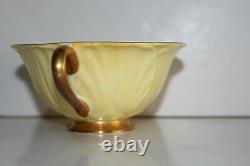 Shelley Light Yellow Daisy Chintz-Oleander Bone China Footed Teacup and Saucer