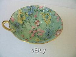 Shelley MELODY Chintz Oleander Cup & Saucer Mint Green