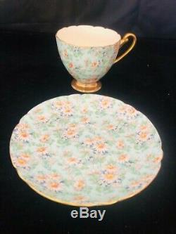 Shelley Marguerite Chintz Footed Cup & Saucer #13694 Gold Trim Ds36